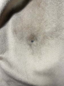 komplet-welurowy-bez-femininebutik.jpg